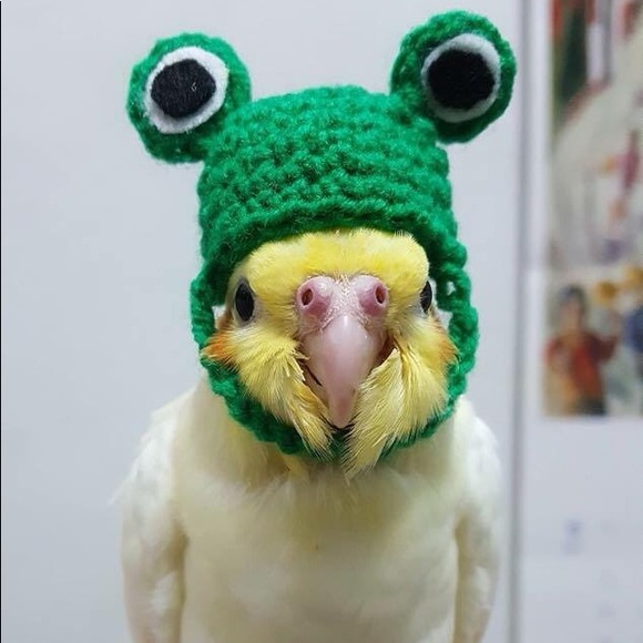 Meet your Posher, Jo - Picture 1 of 1